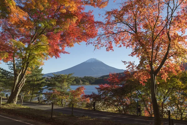 Liście klonu zmienić na jesień kolor w Mt.Fuji, Japonia — Zdjęcie stockowe