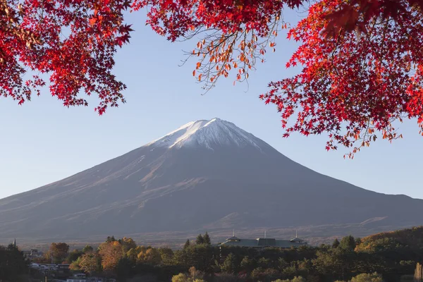 Javorové listy změní na podzim barvu v Mt.Fuji, Japonsko — Stock fotografie