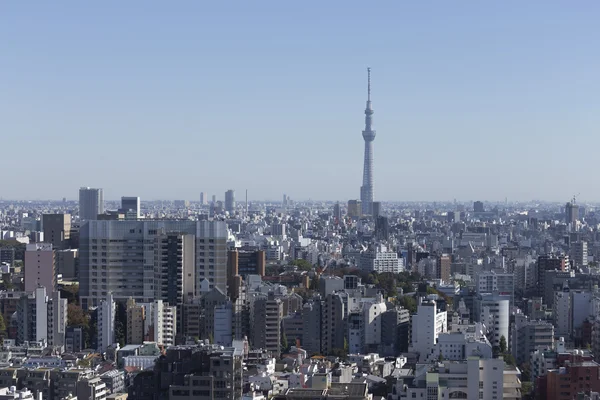 日本東京市 — ストック写真