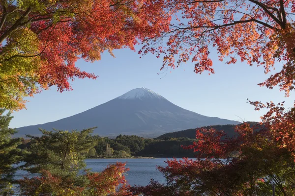 Las hojas de arce cambian al color de otoño en el monte Fuji, Japón —  Fotos de Stock