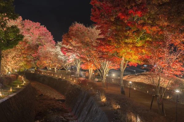 Corridor Maple à la rivière Nashigawa, Japon — Photo