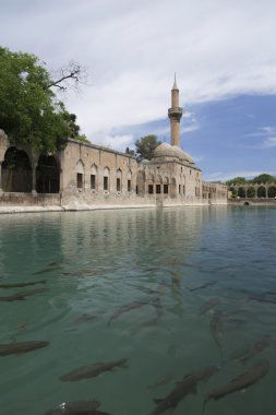 Sanliurfa city, Turkey