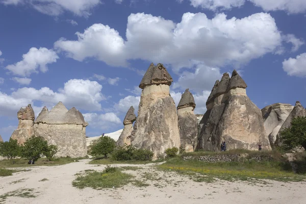 Pasabag in Cappadocia, Turchia — Foto Stock