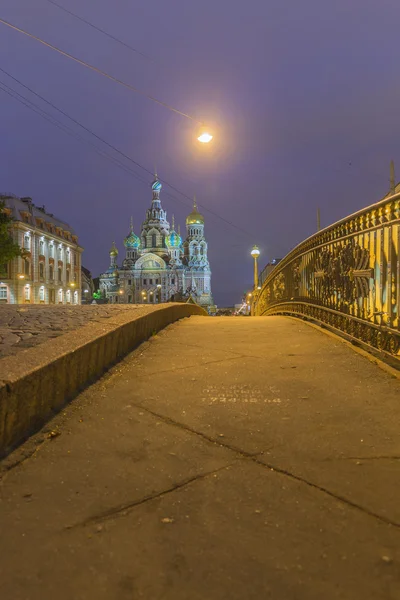 血在俄罗斯国立圣彼得堡大教堂 — 图库照片