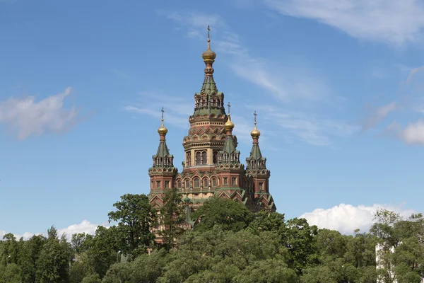 Петропавловский собор в Петергофе — стоковое фото
