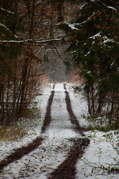 在一条穿过森林的土路上 雪地上有车辙 — 图库照片
