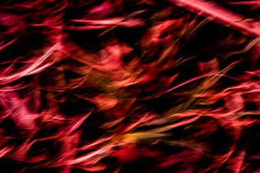 Red abstract blur wave motion background