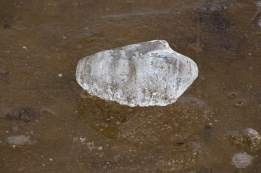 Buz kütlesi buz yüzeyinde duruyor, seçici odaklanma