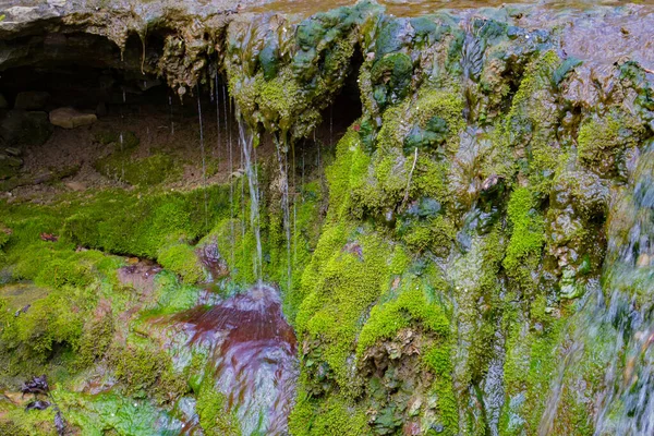 Água Descer Uma Cascata Coberta Musgo — Fotografia de Stock