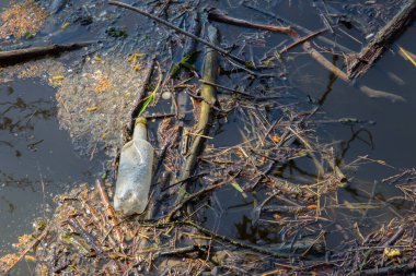 Kopya alanı olan bir nehirde kir ve su kirliliği üzerine en üst görünüm