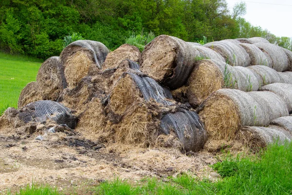 Rolled Hay Bales Wrapped Net Piled Heap — Stock Photo, Image