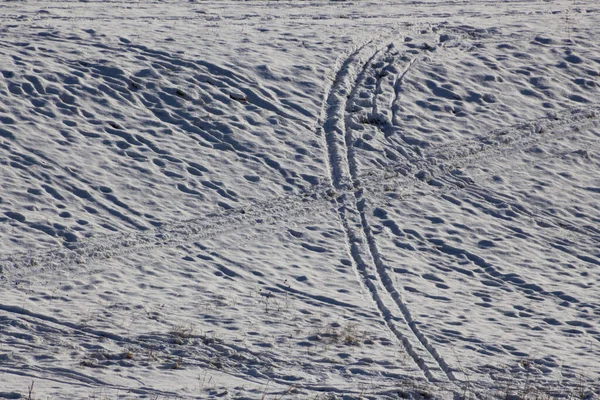 Many Footprints Ski Sled Tracks Slope Snow — Stock Photo, Image