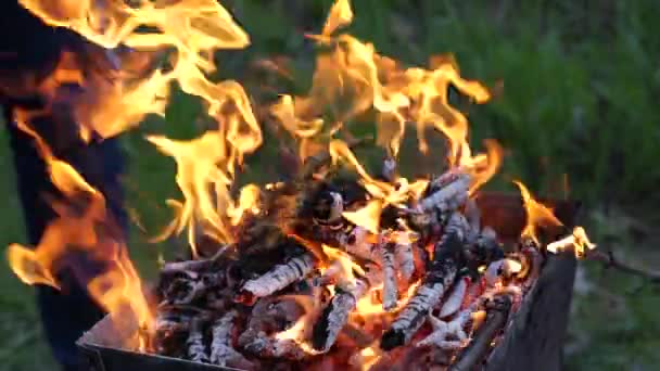 Barbecue gril oheň dřevo v zahradě — Stock video