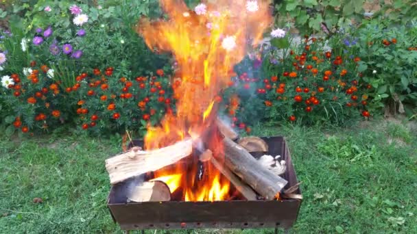 Churrasqueira grill fogo lenha no jardim com flores em 4k — Vídeo de Stock