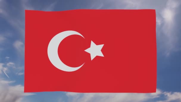 Drapeau national de la Turquie agitant le vent — Video