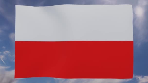 Drapeau national de la Pologne 4k vidéo — Video