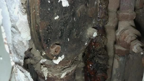 Plumber Inspecting Old Rusty Pipes Covered Mold Fungus Residential Building — Stock Video