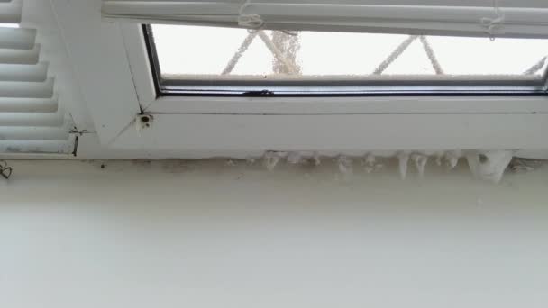 窓枠に氷を入れた冷凍オフィスの窓 冬の異常な寒さ暖房のための高光熱費 — ストック動画