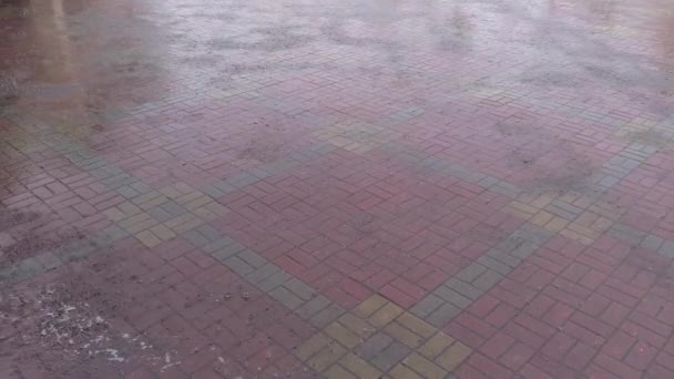 Neerslag Zware Regen Gieten Een Tegelvloer Regenachtig Weer Lege Stad — Stockvideo