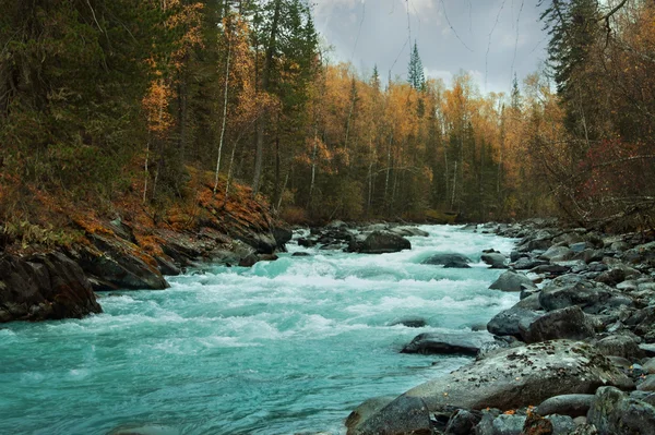 A kék víz, a hegyi folyó — Stock Fotó