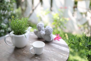 boş beyaz kahve fincanı pembe tesisat çiçeği ve dış taraftaki ahşap masa üzerinde bitki