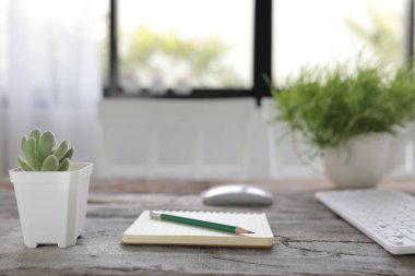 Ahşap masada sulu bitkilerle dolu defter ve kalem.