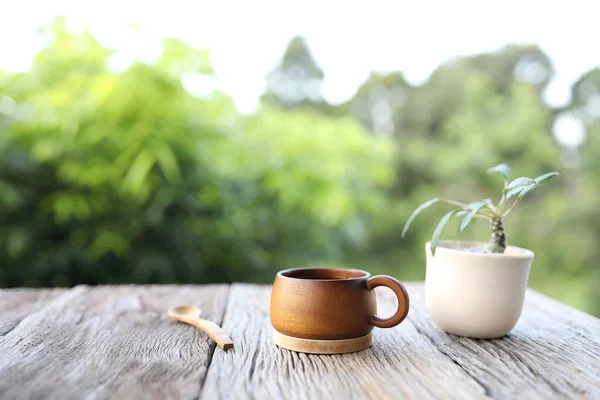 Copo Madeira Colher Com Vaso Planta Dorstenia Mesa Madeira Velha — Fotografia de Stock