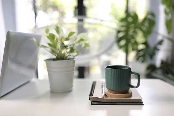 Vintage Green Mug Plant Pot Notebooks White Table Interior Home — Stock Photo, Image
