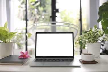 Laptop boş beyaz ekran kahve fincanı, çiçek ve masa içi konforlu saksı içeren defterler. 