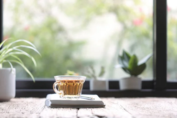 Tea Transparent Glass Notebook Plants Infront Windows — Stock Photo, Image