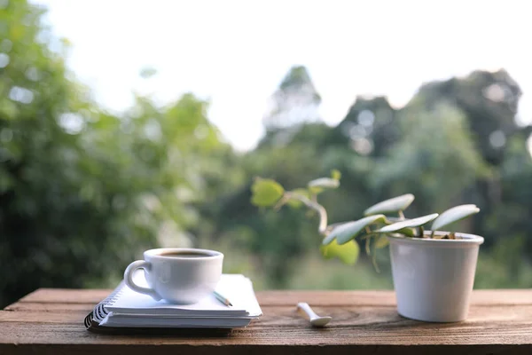 White coffee cup and plant pot on brown wooden table