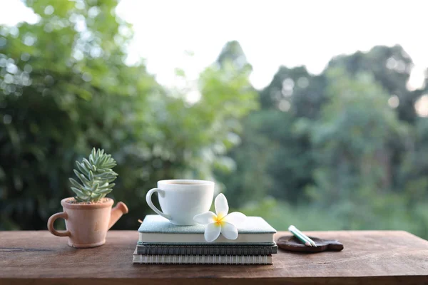 Copo Café Branco Flor Com Planta Suculenta — Fotografia de Stock