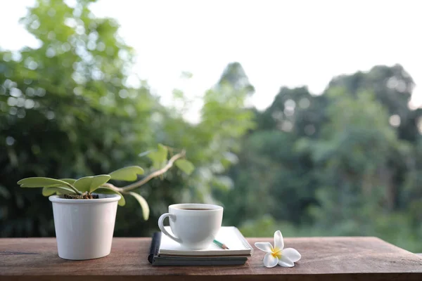 Beyaz Kahve Fincanı Çiçek Yeşillik Manzaralı Bir Saksı — Stok fotoğraf