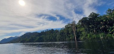 Milford Ses ve Kuşkulu Ses 'in Dağları ve Fiyortları, Yeni Zelanda. Bengoh Vadisi, Sarawak.