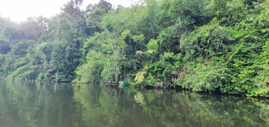 Milford Ses ve Kuşkulu Ses 'in Dağları ve Fiyortları, Yeni Zelanda. Bengoh Vadisi, Sarawak.