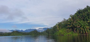 Milford Ses ve Kuşkulu Ses 'in Dağları ve Fiyortları, Yeni Zelanda. Bengoh Vadisi, Sarawak.