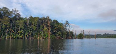 Milford Ses ve Kuşkulu Ses 'in Dağları ve Fiyortları, Yeni Zelanda. Bengoh Vadisi, Sarawak.