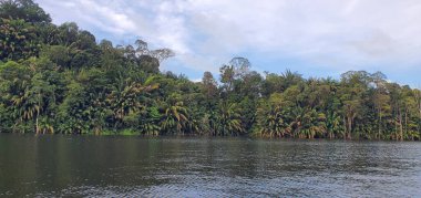 Milford Ses ve Kuşkulu Ses 'in Dağları ve Fiyortları, Yeni Zelanda. Bengoh Vadisi, Sarawak.