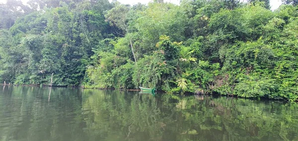 米尔福德声音和怀疑声音的山脉和峡湾 新西兰 沙捞越本戈谷地 — 图库照片