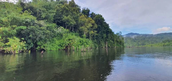 Milford Ses Kuşkulu Ses Dağları Fiyortları Yeni Zelanda Bengoh Vadisi — Stok fotoğraf