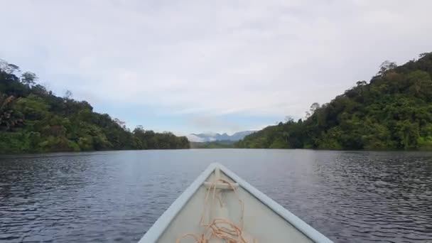 Mountains Fjords Milford Sound Doubtful Sound Nueva Zelanda Valle Bengoh — Vídeo de stock