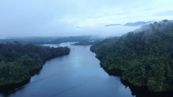 米尔福德声音和怀疑声音的山脉和峡湾 新西兰 沙捞越本戈谷地 — 图库视频影像