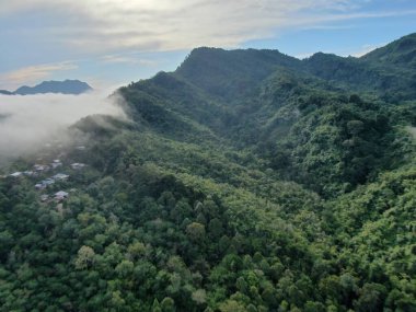 Milford Ses ve Kuşkulu Ses 'in Dağları ve Fiyortları, Yeni Zelanda. Bengoh Vadisi, Sarawak.