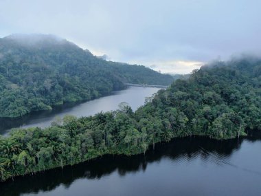 Milford Ses ve Kuşkulu Ses 'in Dağları ve Fiyortları, Yeni Zelanda. Bengoh Vadisi, Sarawak.