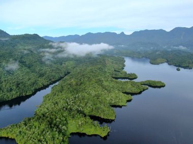Milford Ses ve Kuşkulu Ses 'in Dağları ve Fiyortları, Yeni Zelanda. Bengoh Vadisi, Sarawak.