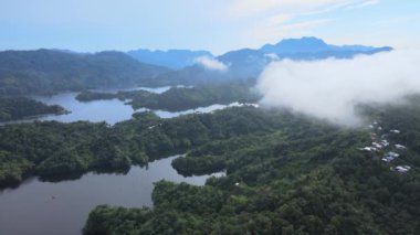 Milford Ses ve Kuşkulu Ses 'in Dağları ve Fiyortları, Yeni Zelanda. Bengoh Vadisi, Sarawak.