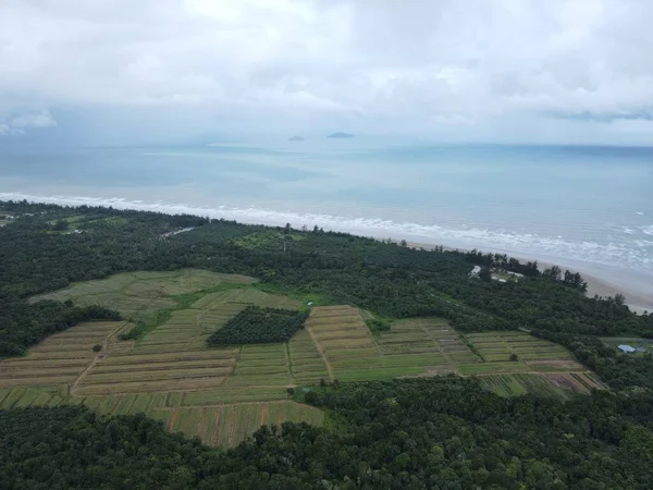 Sematan Sahili ve Sarawak ve Borneo Adası 'nın en güney kısmının kıyı şeridi.