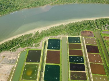 Sarawak, Malezya 'nın Santubong bölgesinde bir balıkçılık ve karides çiftliğinin havadan görünüşü