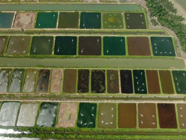 Sarawak, Malezya 'nın Santubong bölgesinde bir balıkçılık ve karides çiftliğinin havadan görünüşü