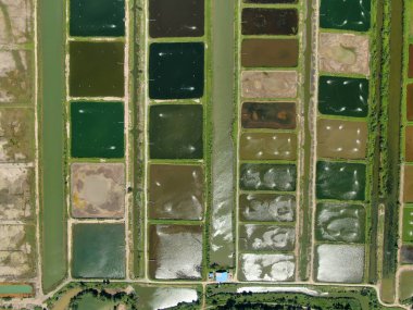 Sarawak, Malezya 'nın Santubong bölgesinde bir balıkçılık ve karides çiftliğinin havadan görünüşü